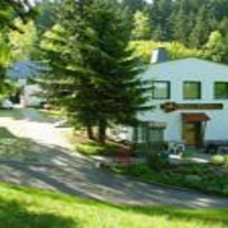Pension Waldidyll Stutzerbach ภายนอก รูปภาพ