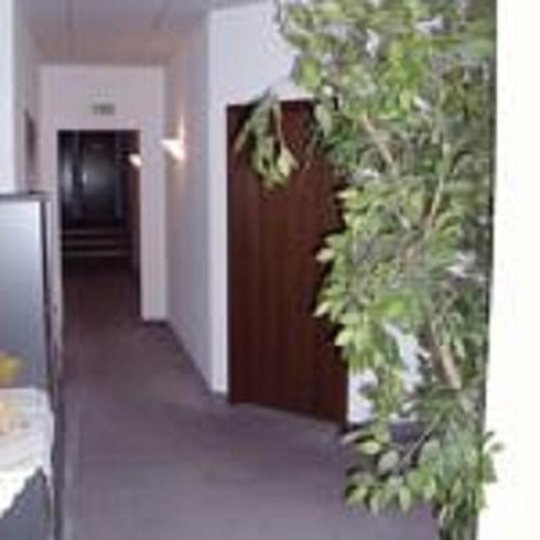 Pension Waldidyll Stutzerbach ภายนอก รูปภาพ