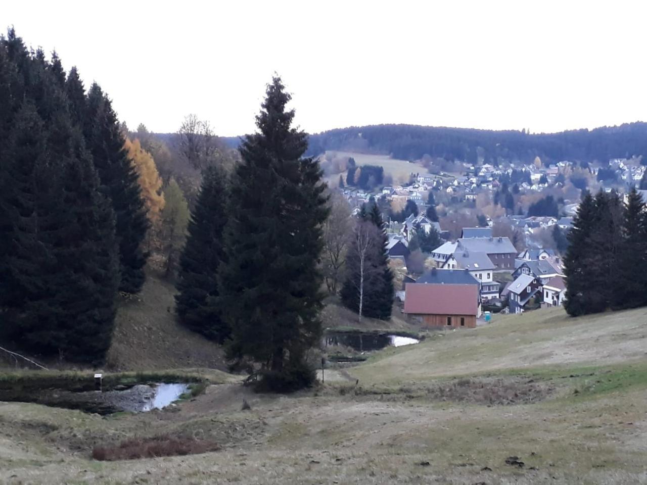 Pension Waldidyll Stutzerbach ภายนอก รูปภาพ