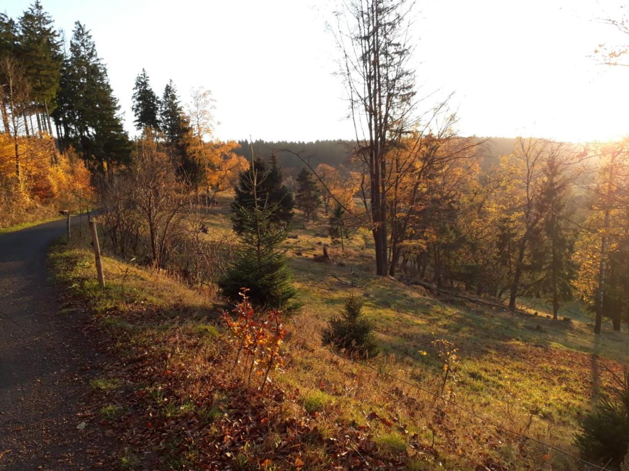 Pension Waldidyll Stutzerbach ภายนอก รูปภาพ