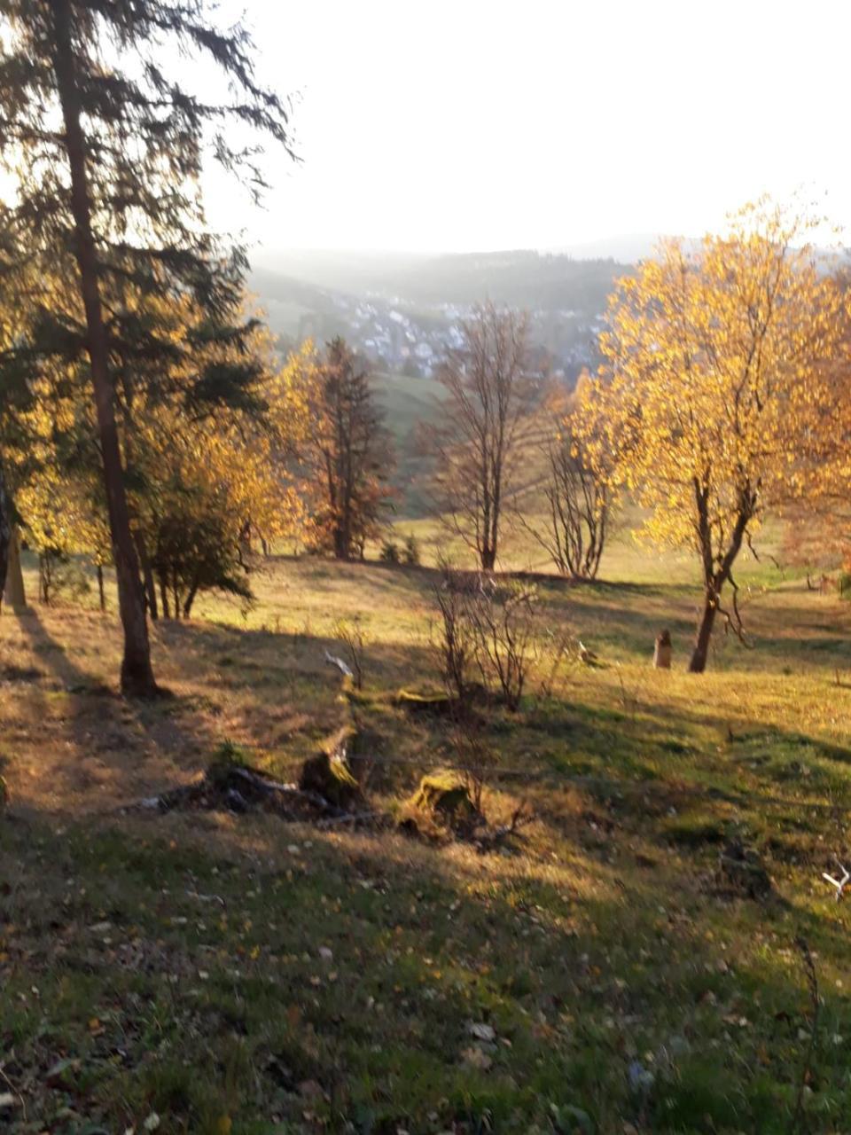 Pension Waldidyll Stutzerbach ภายนอก รูปภาพ